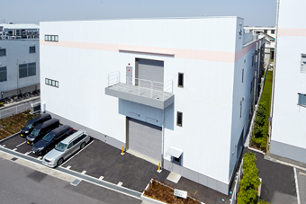 発展期